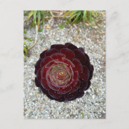 Flower Power - 7 ポストカード