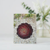 Flower Power - 7 ポストカード (スタンド正面)