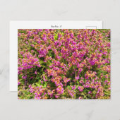 Flower Power - 8 ポストカード (正面/裏面)