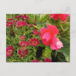 Flower Power - 9 ポストカード