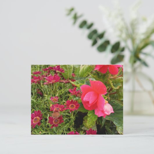 Flower Power - 9 ポストカード (スタンド正面)