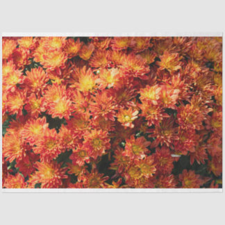 Flower Tissue Paper 薄葉紙