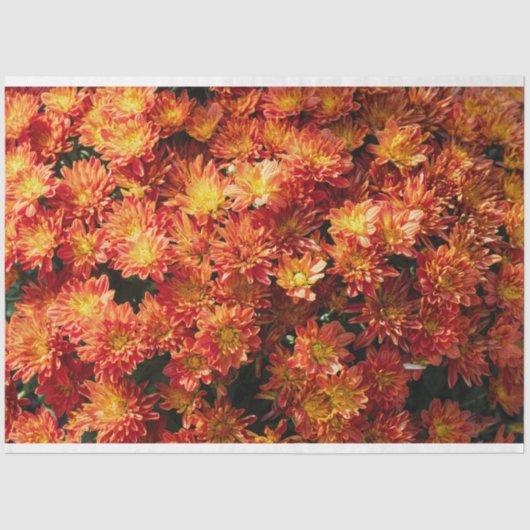 Flower Tissue Paper 薄葉紙 (正面)