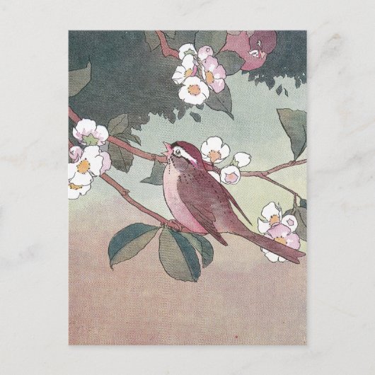 Flowering Apple Treeのスパロー ポストカード (正面)