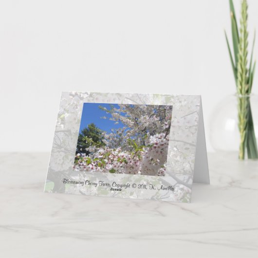 Flowering Cherry Trees Greeting Card カード (裏面)