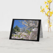 Flowering Cherry Trees Greeting Card カード (黄色い花)
