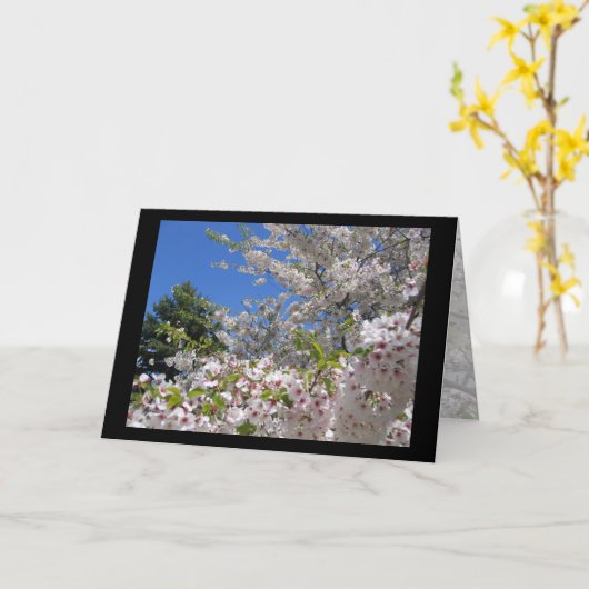 Flowering Cherry Trees Greeting Card カード (黄色い花)