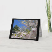 Flowering Cherry Trees Greeting Card カード (正面)