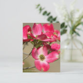 Flowering Dogwood ポストカード (スタンド正面)