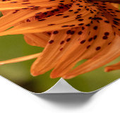 Flowering Petals ポスター (角)