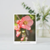 Flowering quince ポストカード (スタンド正面)