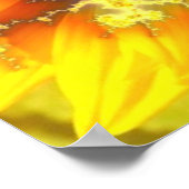 Flowering Sun – ポスター (角)