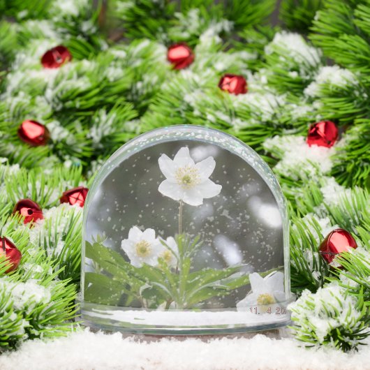 flowers (クリスマス)