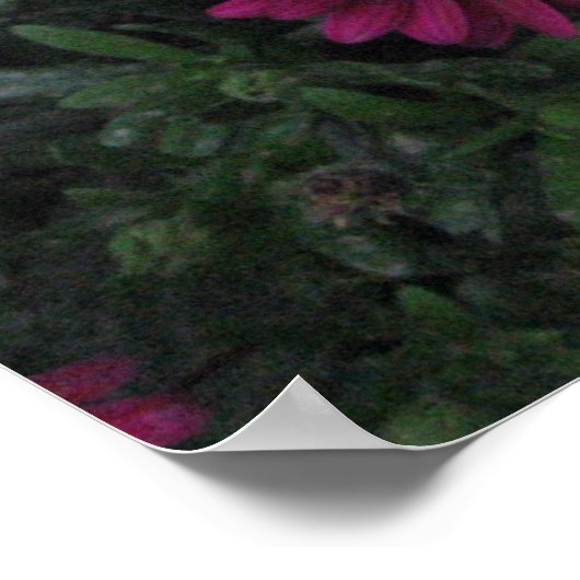 Flowers ポスター (角)