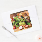 Flowers and fruit of Mangosteen; Singapore Monkey スクエアシール (封筒)