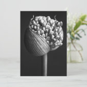 Flowers | B&W Allium Flower Bud サンキューカード (スタンド正面)