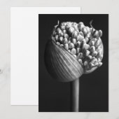Flowers | B&W Allium Flower Bud サンキューカード (正面/裏面)