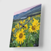 Flowers | Balsomroot Columbia River, Oregon スクエア壁時計 (傾斜)