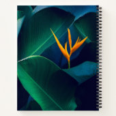 Flowers | Bird of Paradise ノートブック (裏面)