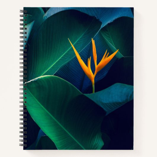 Flowers | Bird of Paradise ノートブック (正面)