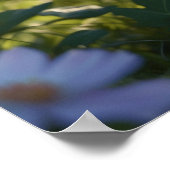 *~* Flowers Black Kitty Cat 5:4 Feline Kitten ポスター (角)