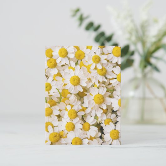 Flowers | Bunch of Chamomiles ポストカード (スタンド正面)