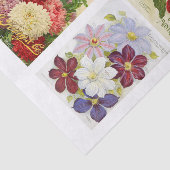 Flowers Collection Collage Vintage Decoupage 薄葉紙 (詳細)