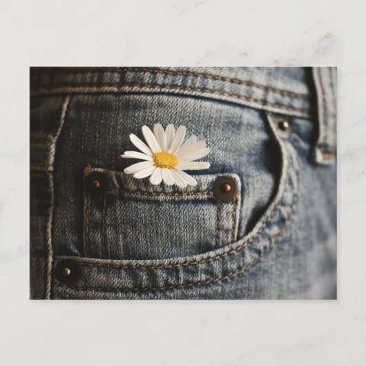 Flowers | Daisy in Jeans Pocket ポストカード (正面)