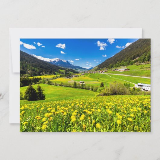 Flowers | Dandelion Canton of Grisons, Switzerland サンキューカード (正面)