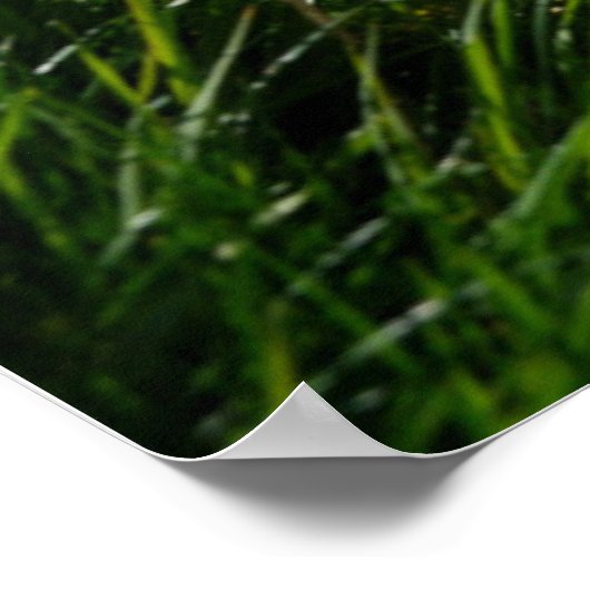 Flowers | Eiger Monch Swiss Alps ポスター (角)