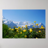 Flowers | Eiger Monch Swiss Alps ポスター (正面)