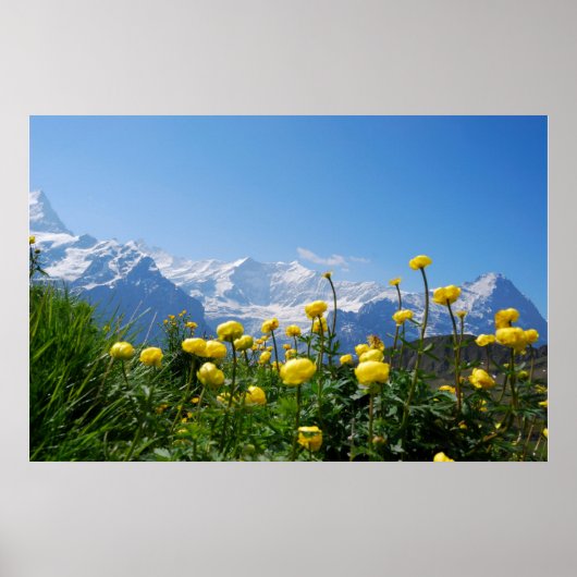 Flowers | Eiger Monch Swiss Alps ポスター (正面)