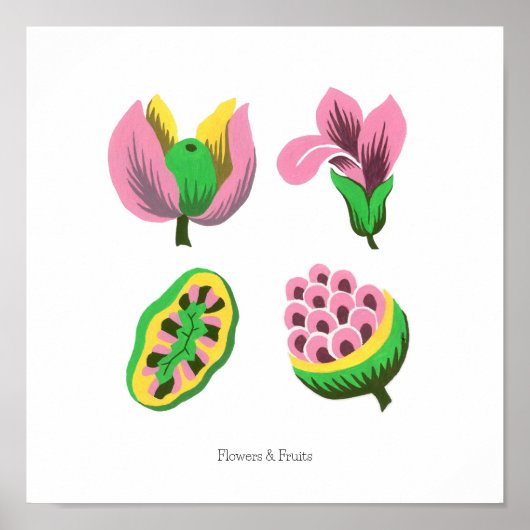 Flowers & Fruits ポスター (正面)