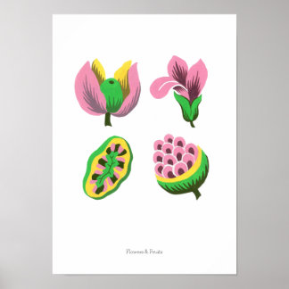 Flowers & Fruits ポスター