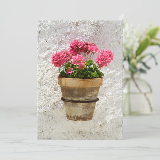 Flowers | Geranium In Flower in Pot サンキューカード (スタンド正面)