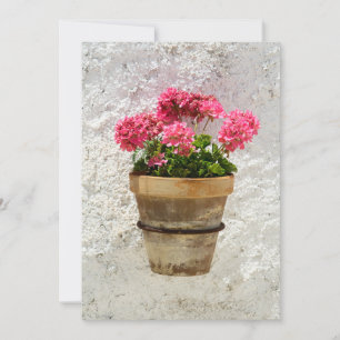 Flowers   Geranium In Flower in Pot サンキューカード