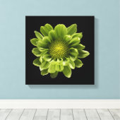 Flowers | Green Chrysanthemum キャンバスプリント (インサイチュ (ウッドフロア))
