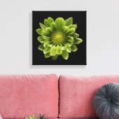 Flowers | Green Chrysanthemum キャンバスプリント (インサイチュ (リビング))