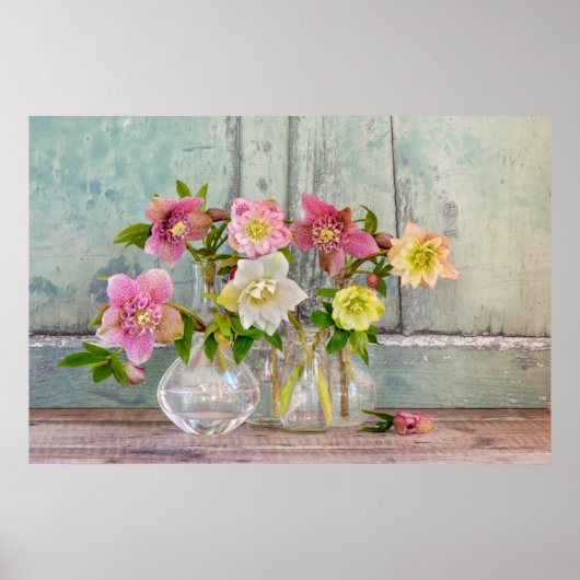 Flowers | Hellebores in Vases ポスター (正面)