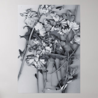 Flowers in Black and White ポスター