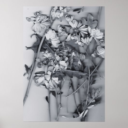 Flowers in Black and White ポスター (正面)