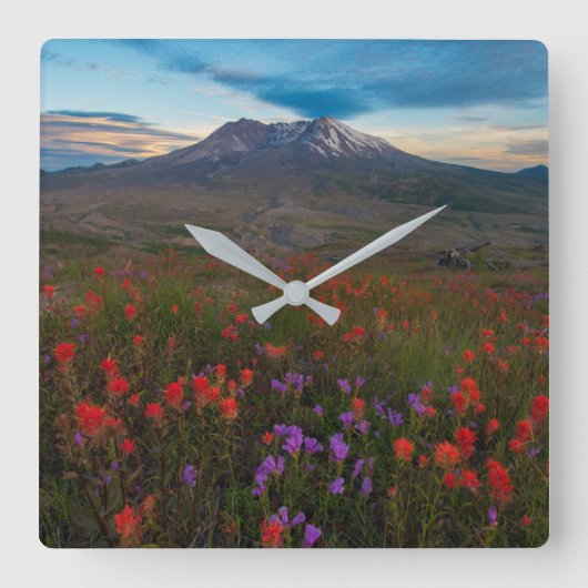 Flowers | Indian Paintbrush & Penstemon スクエア壁時計 (正面)