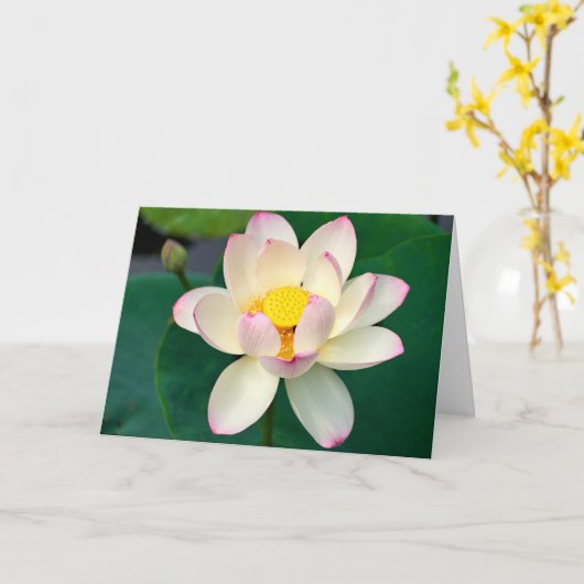 Flowers | Lotus Water Flower カード (黄色い花)