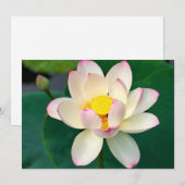 Flowers | Lotus Water Flower サンキューカード (正面/裏面)