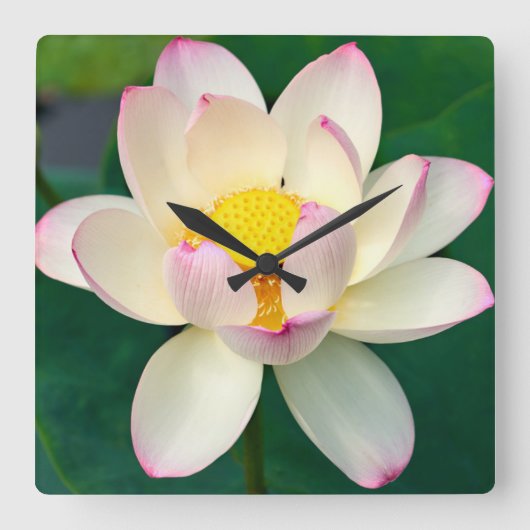 Flowers | Lotus Water Flower スクエア壁時計 (正面)