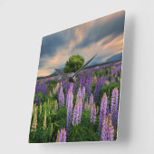 Flowers | Lupine Field in New Zealand スクエア壁時計 (傾斜)