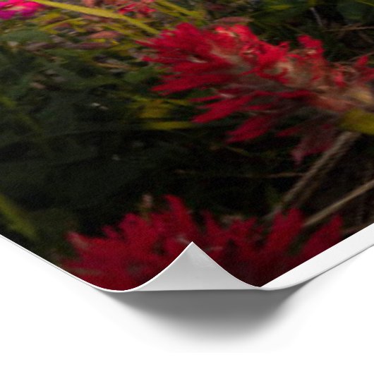 Flowers | Montana's Glacier National Park ポスター (角)