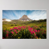 Flowers | Montana's Glacier National Park ポスター (正面)