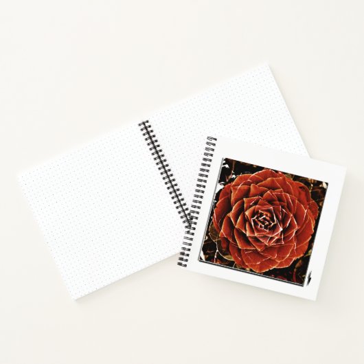 Flowers of Life ノートブック (内部)