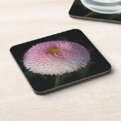 flowers on black - rosa Bellis コースター (左側)
